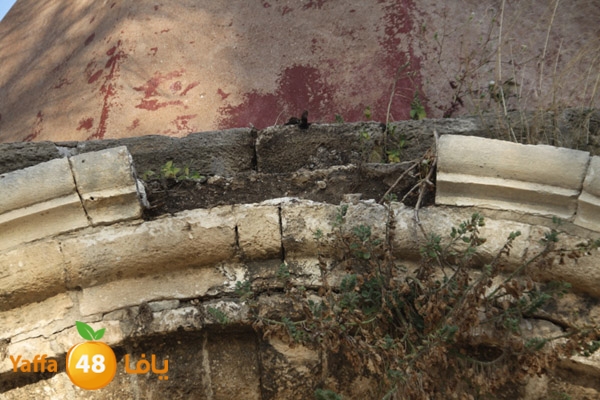 abonabootsbeel502 (10).JPG